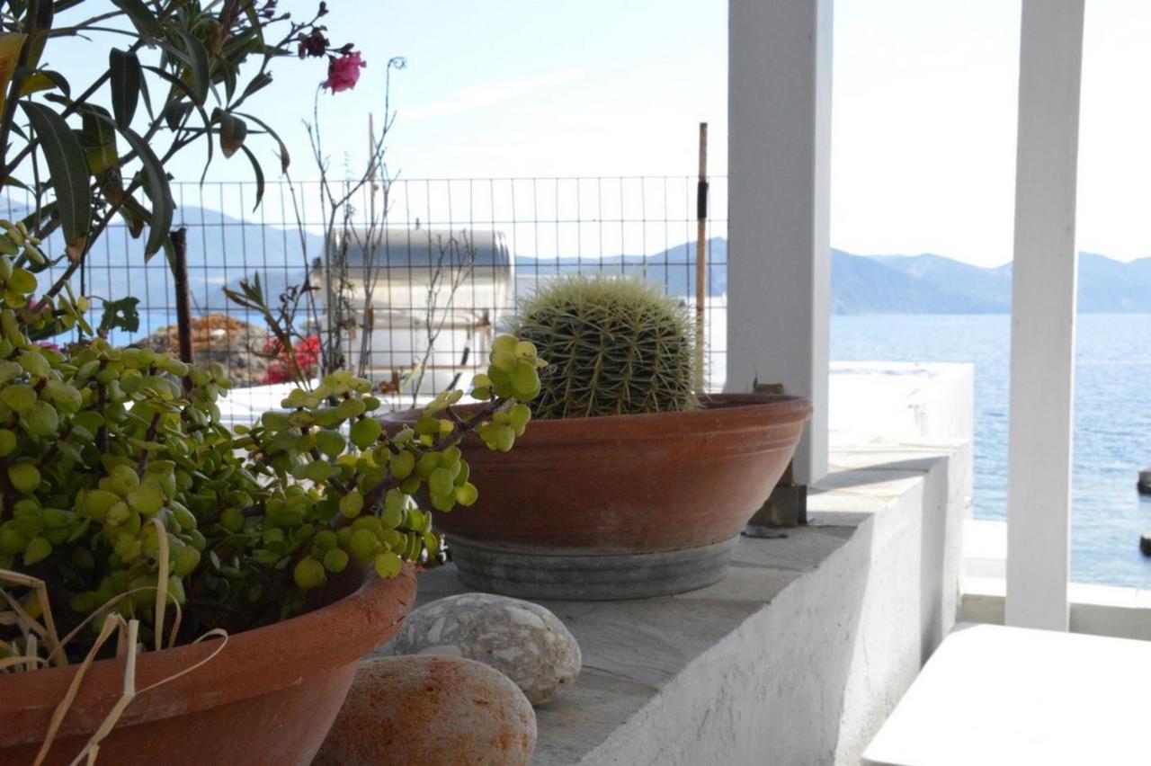Thalassophile Eco House Villa Plaka  Luaran gambar